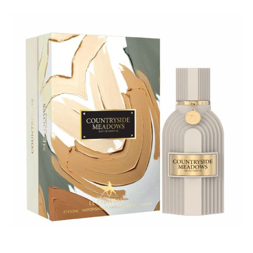 LECHAMEAU COUNTRYSIDE MEADOWS  MEN 3.4 OZ EDP SP